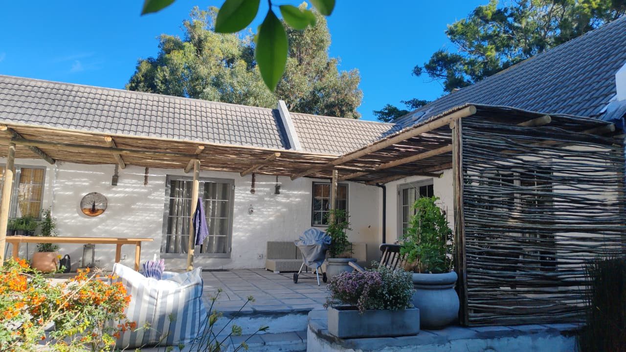Latte pergola Franschhoek, photo 4