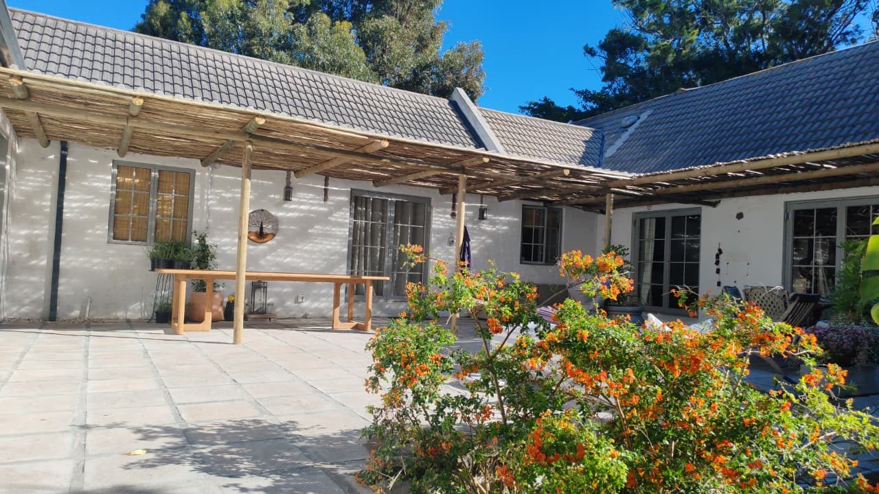 Latte pergola Franschhoek, photo 7