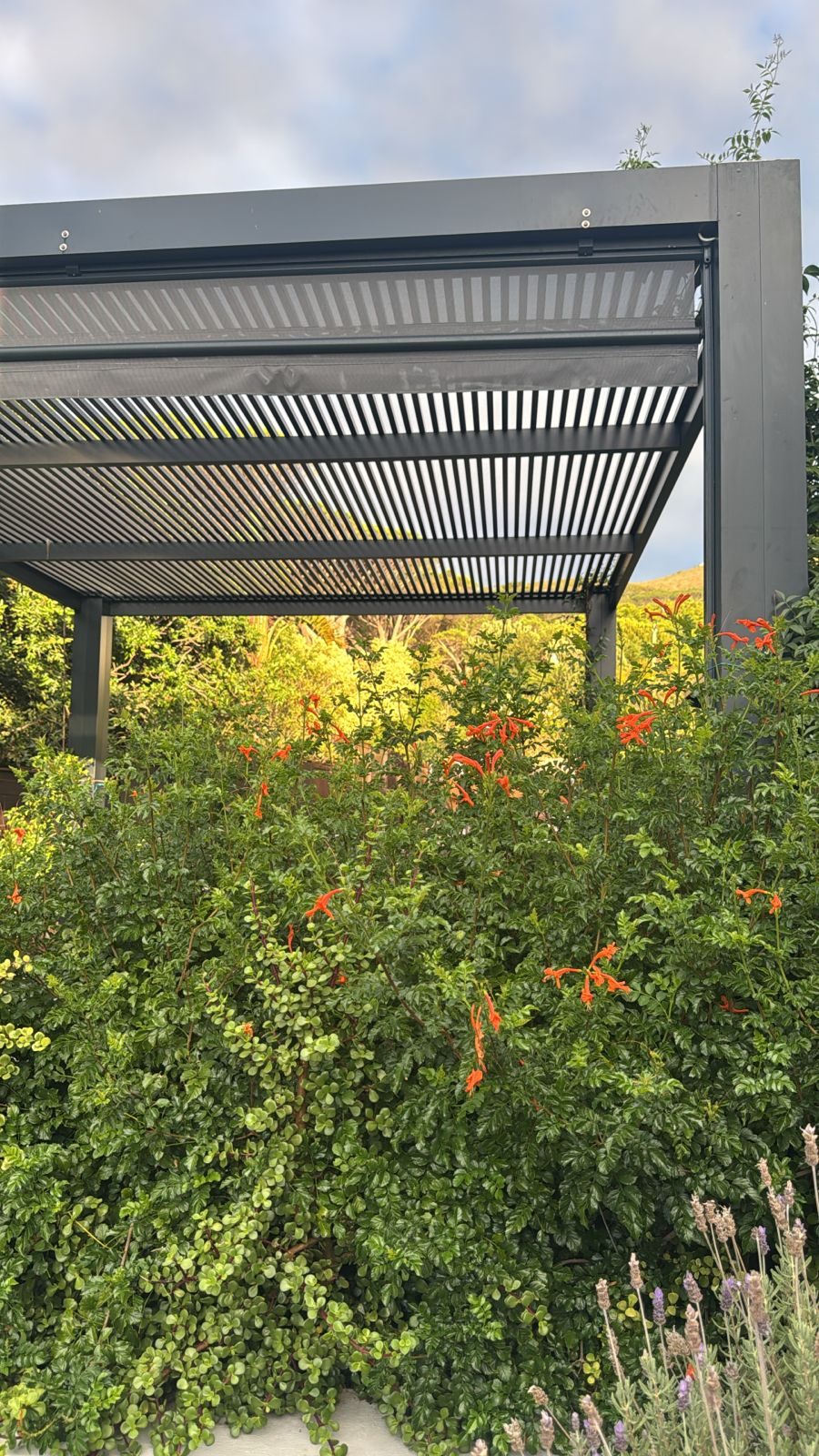 Aluminium pergola with automated drop down blind, photo 3