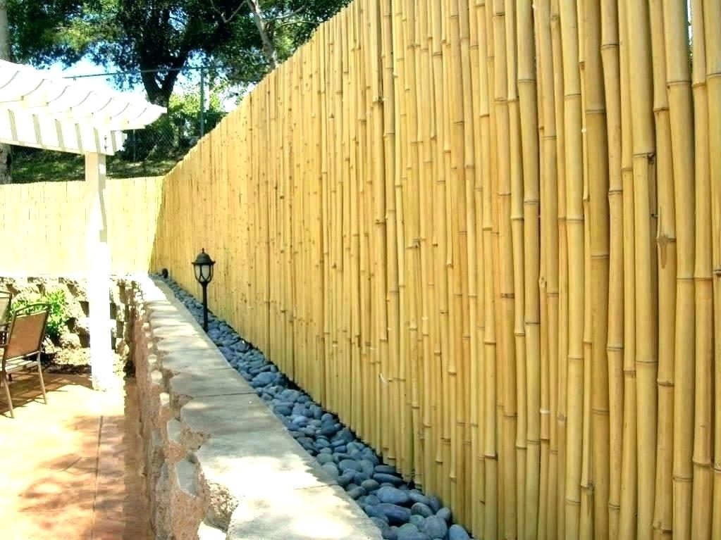 Reed fencing
